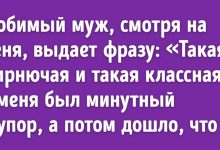 Photo of Смешные и забавные истории